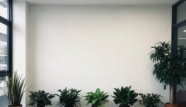 选型关注点:技术转让等业务中的理解误区